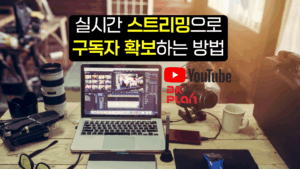 유튜브 트래픽556